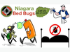 Hire Niagara Bed Bugs For Chemical Heat Treatment Services Image